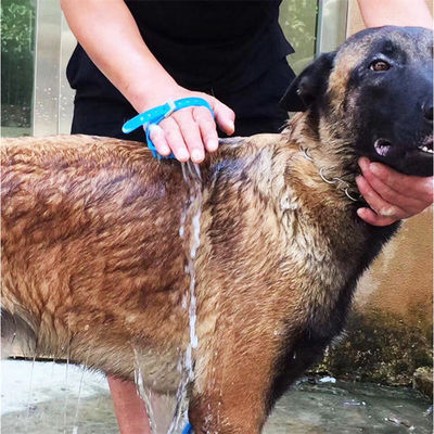 ODM Silicone PET reinigingsborstel Zelfreinigend Cat Grooming Borstel Voor Honden
