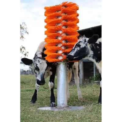 435 of 510 mm koeienborstel Pp Nylon voor het krabben en verzorgen van koeien