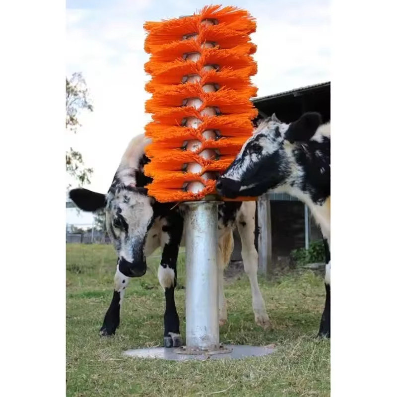 435 of 510 mm koeienborstel Pp Nylon voor het krabben en verzorgen van koeien